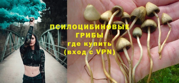 МДПВ Верея